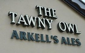 The Tawny Owl